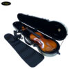 hop-dan-violin-carbon-tron-thuong-mau-trang-in-chu-size-4-4