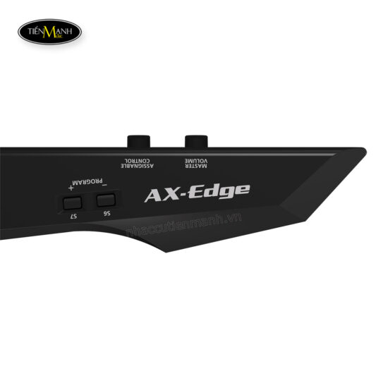 dan-synthsizer-roland-ax-edge-b