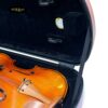 hop-dan-violin-carbon-tron-thuong-mau-hong-vo-do-size-4-4