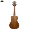 dan-ukulele-concert-peavey-2342