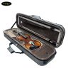 dan-violin-van-that-amati-vf600-size-4-4