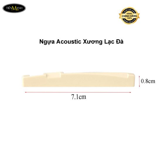 ngua-dan-va-luoc-dan-guitar-acoustic-xuong-lac-da-camel-bone-saddle