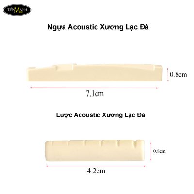 ngua-dan-va-luoc-dan-guitar-acoustic-xuong-lac-da-camel-bone-saddle
