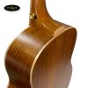 dan-guitar-acoustic-dream-maker-dm36t-size-3-4-1