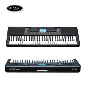 dan-organ-kurtzman-k190-keyboard-1.j
