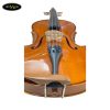 dan-viola-scott-guan-a601-15