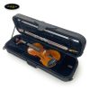 dan-violin-scott-guan-017a-size-4-4
