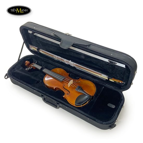 dan-violin-scott-guan-017a-size-4-4