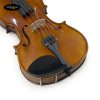 dan-violin-scott-guan-017a-size-4-4