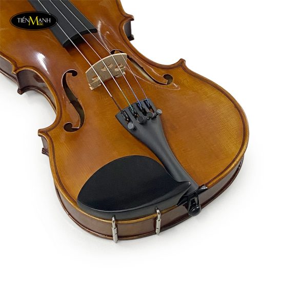 dan-violin-scott-guan-017a-size-4-4