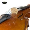 dan-violin-scott-guan-017a-size-4-4