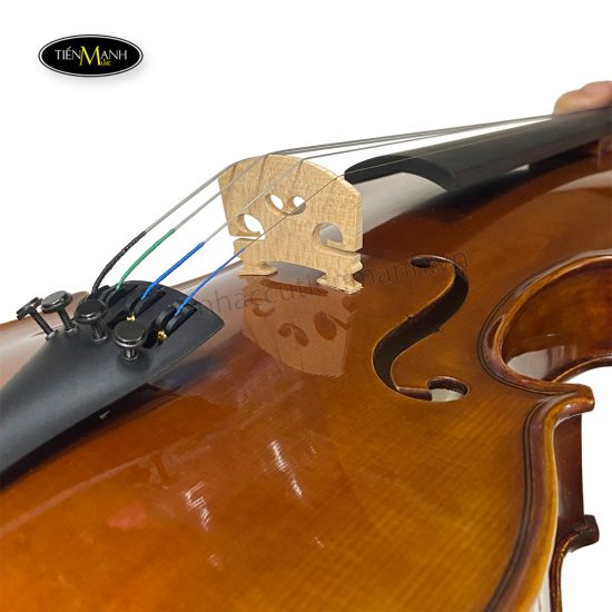 dan-violin-scott-guan-017a-size-4-4