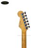 dan-guitar-dien-fender-tme250