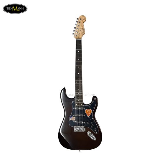 dan-guitar-dien-fender-tme250