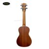 dan-ukulele-concert-gukc-2340-size-23-