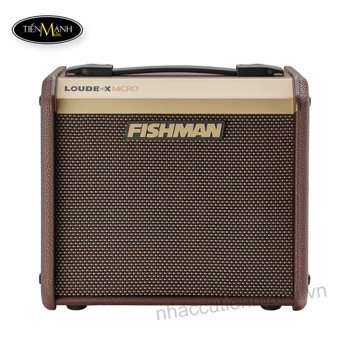 amplifier-fishman-loudbox-micro-acoustic-guitar