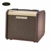 amplifier-fishman-loudbox-micro-acoustic-guitar