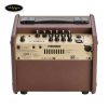 amplifier-fishman-loudbox-micro-acoustic-guitar