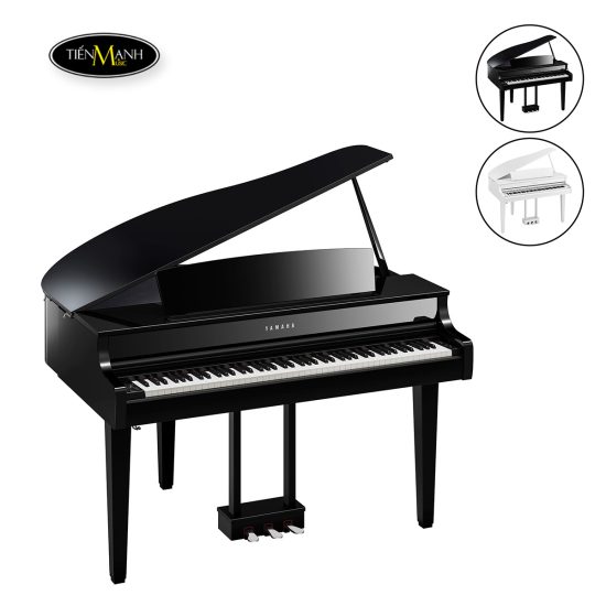 Dan-Piano-Dien-Yamaha-Clavinova-CLP865GP-1