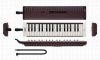 ken-melodion-yamaha-p37e2-37-phim-2