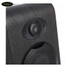 loa-kiem-am-focal-shape-50