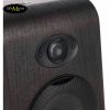 loa-kiem-am-focal-shape-65-mot-cap
