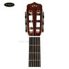 dan-guitar-classic-cordoba-fusion-12-brown-sugar-burst