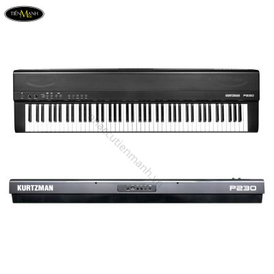 dan-piano-dien-kurtzman-p230