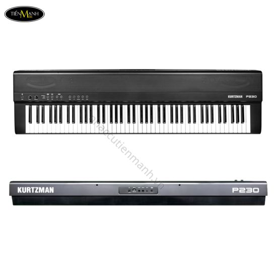 dan-piano-dien-kurtzman-p230