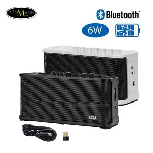 ampli-dan-guitar-dien-aga-rl-est2025-23.jp