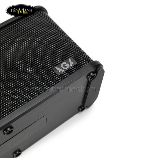 ampli-dan-guitar-dien-aga-rl-est2025-DEN-2.