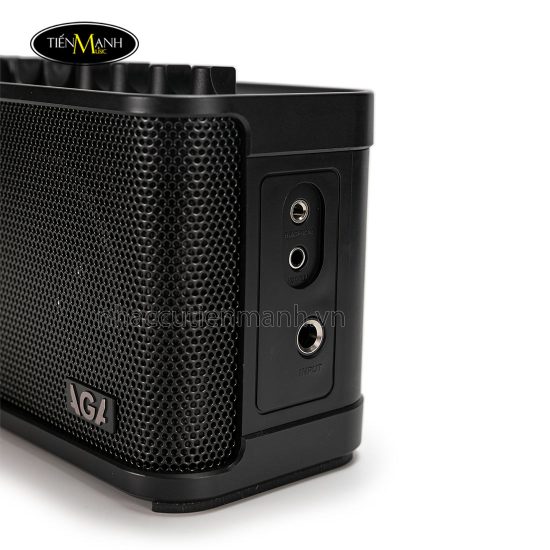 ampli-dan-guitar-dien-aga-rl-est2025-DEN-2.