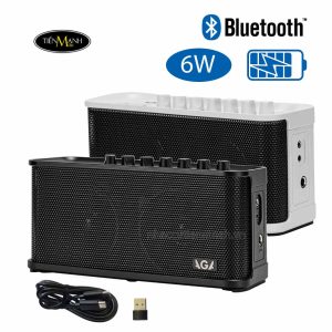 ampli-dan-guitar-dien-aga-rl-est2025-DEN-2.