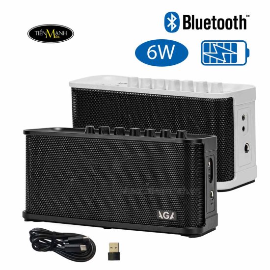 ampli-dan-guitar-dien-aga-rl-est2025-DEN-2.