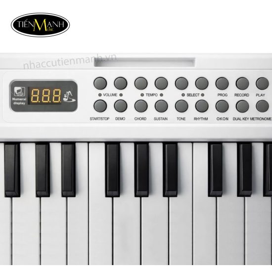 Đàn Piano Điện VicTor VT61 ( 61 Phím), Gập gọn, Có Bluetooth, Cảm Ứng Lực