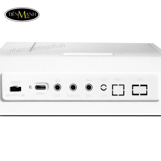 Đàn Piano Điện VicTor VT61 ( 61 Phím), Gập gọn, Có Bluetooth, Cảm Ứng Lực