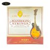 day-mandolin-king-lion-m221