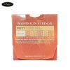 day-mandolin-lion-king-m221