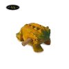 Mõ Con Cóc Gỗ Frog