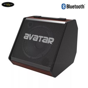 ampli-trong-dien-hxw-avatar-dm30