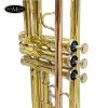 Kèn Trumpet Suzuki TR4000 [MÀU VÀNG]
