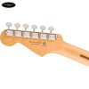 dan-guitar-dien-fender-player-ii-strat-maple-black