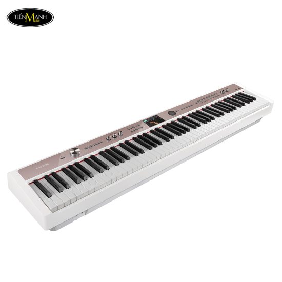 dan-piano-dien-nux-npk20-portable-digital-piano