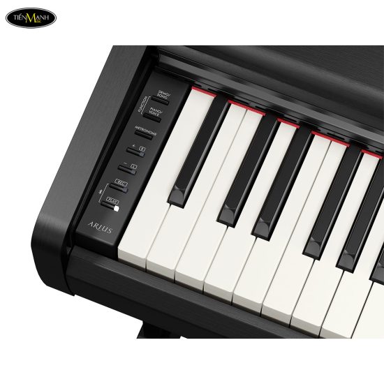 dan-piano-dien-yamaha-ydp-146