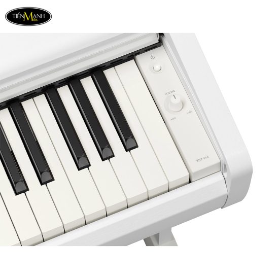 dan-piano-dien-yamaha-ydp-146
