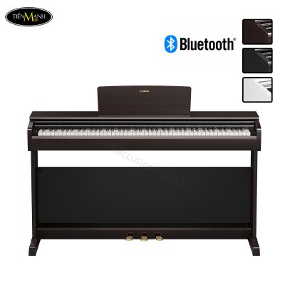dan-piano-dien-yamaha-ydp-146