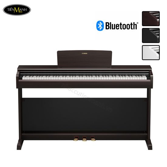 dan-piano-dien-yamaha-ydp-146
