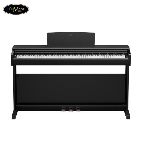 dan-piano-dien-yamaha-ydp-146