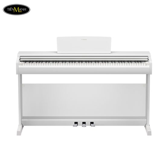 dan-piano-dien-yamaha-ydp-146