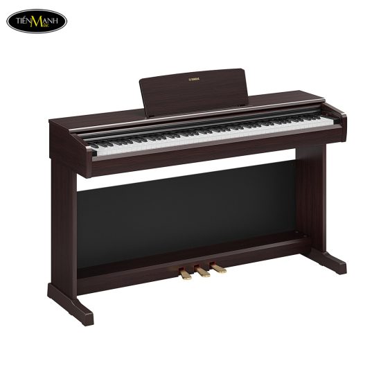 dan-piano-dien-yamaha-ydp-146